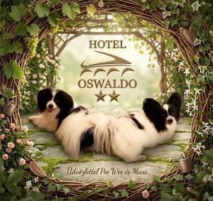 Animal o animals de companyia a Hotel Oswaldo
