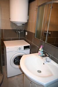 a bathroom with a washing machine and a sink at Leona in Senj +18 photos