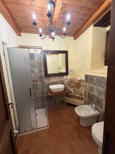 a bathroom with a shower and a sink and a toilet at Arcem in Calascio +55 photos