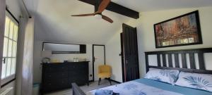 a bedroom with a bed and a ceiling fan at Chambres cosy au hameau de St Pierre in Saint-Georges-de-Commiers