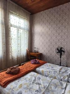a bedroom with a bed and a window at Cozy home in Zugdidi