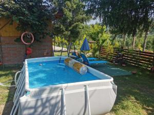 a swimming pool in a yard next to a house at Casa de vacanta 1001 De Nopti in Corbşori