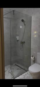 a glass shower in a bathroom with a toilet at Zveniv Resort in Oryavchyk