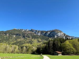 a road in a field with a mountain in the background at Alpaka-Hof Landinger in Aschau im Chiemgau