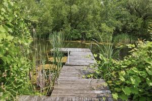 a wooden bridge over a body of water at County Line Cabin in Woodland Beach