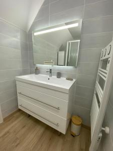 a bathroom with a white sink and a mirror at Les mouettes rieuses in Telgruc-sur-Mer +62 photos