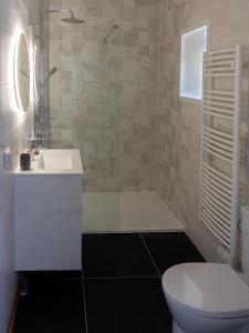 a bathroom with a toilet and a sink and a shower at Le Galois - Spacieux appartement en hypercentre de Blois in Blois +9 photos