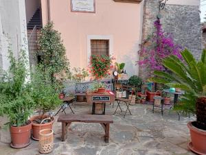 a courtyard with potted plants in a building at Casa Marina, casa Vacanza, Suite Indipendente Cilento in Ceraso