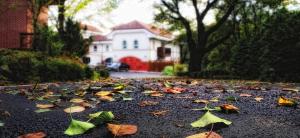 a pile of leaves on the ground in front of a house at Buan Floor Pension in Buan