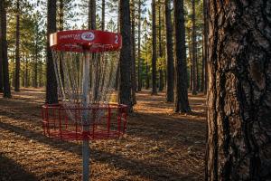 a red frisbee golf basket in the woods at Ponderosa Pines Resort in Parks