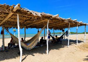 a group of people sitting in hammocks under a thatchedilion on a beach at Coccoloba Beach Hotel in Dibulla