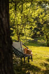 a swinging chair with a hat in a park at Agroturystyka Akacjowe Zacisze- pokoje ze śniadaniami, sauna, balia, tarasy wśród drzew, slow life in Stańkowa
