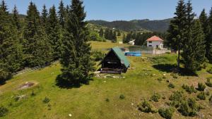 an aerial view of a house on a hill with trees at Forest Cabin Ponikve in Čajniče