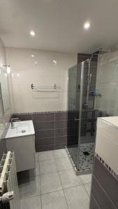 a bathroom with a shower and a sink at Le Mas de la Colombe in Grospierres +74 photos