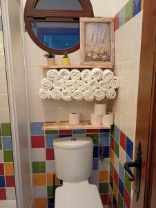 a bathroom with a toilet and a shelf with toilet paper at El Refugio de Hugo in Caravaca de la Cruz +60 photos