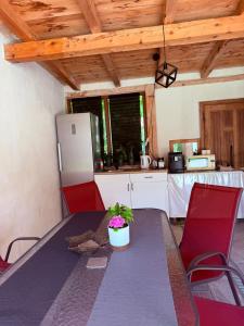 a kitchen with a table and chairs and a refrigerator at Renate House in Băile Herculane