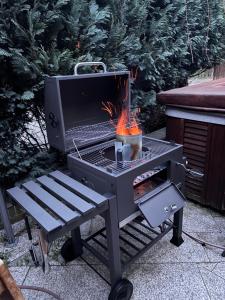 a barbecue grill with a bbq at Harmonie im Grünen-Erdgeschoss-Ferienwohnung mit eigenem Eingang und direktem Gartenzugang in Wathlingen
