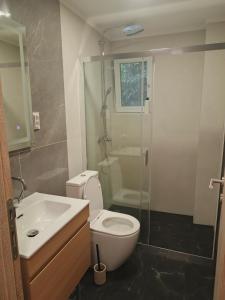 a bathroom with a toilet and a shower and a sink at Apartments Spasoje 2 in Kotor +16 photos
