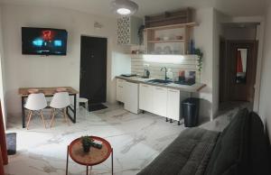 a kitchen with a sink and a table and a counter at Apartments Spasoje 2 in Kotor