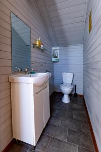 a small bathroom with a sink and a toilet at Green park residence in Tīnūži +65 photos