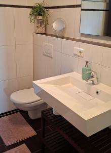 a bathroom with a white sink and a toilet at Hochsalerblick in Laufenburg +7 photos