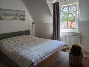 a bedroom with a bed and a window at Przy Lesie Apartamenty Pokoje Parking in Pobierowo