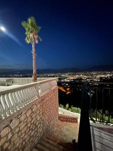a palm tree sitting on top of a wall at Vila Elezi 2 in Tirana