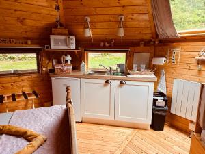 a kitchen with a sink and a counter in a cabin at Cabane Kota Désiré, bain nordique in Saint Die