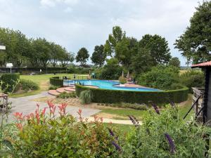 a garden with a swimming pool in a park at Casa-MiU am Wasser - Olburgen - perfekt für Familien - mit Freibad, Sauna, Restaurant und Spielplatz in Olburgen