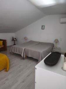 a bedroom with two beds in a room at La maison d Adélaïde in Saint-Laurent-dʼAigouze +26 photos