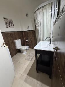 a bathroom with a sink and a toilet at San Francisco in Comodoro Rivadavia +14 photos