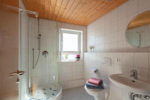 a bathroom with a shower and a toilet and a sink at Ferienwohnung Sonnenfreuden direkt am See, ideal für Paare in Überlingen