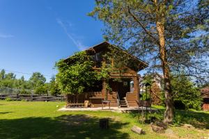 a small cabin in a field with a tree at Green park residence in Tīnūži