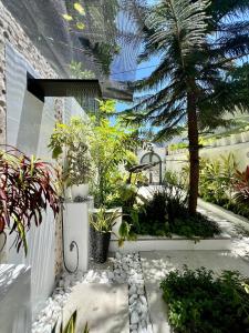 a garden with a palm tree and plants at Sosun View Private Villa in Thoddoo