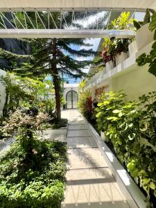 an indoor garden with plants and a walkway at Sosun View Private Villa in Thoddoo +89 photos