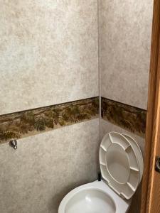 a bathroom with a white toilet in a room at Doug's Emporium and Riverside Cabins in Hedley