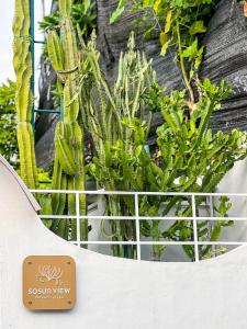 a basket of plants on a table with a sign at Sosun View Private Villa in Thoddoo