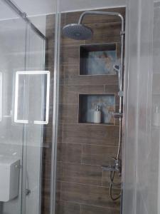 a bathroom with a shower with a glass door at Anastasija & Tara in Ðuraševići