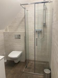 a bathroom with a glass shower with a toilet at Agroturystyka u Sylwii in Majdan Sopocki +37 photos
