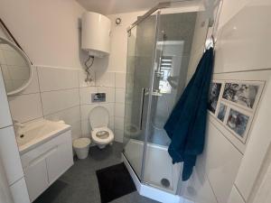 a bathroom with a shower and a toilet and a sink at Apartamenty Łuska Rowy in Rowy +92 photos