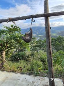 an elephant hanging from a wooden pole at Cabaña Vista de Oro 2 in Paraíso +14 photos