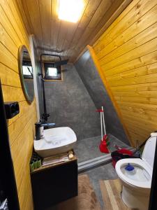 a small bathroom with a toilet and a sink at Chachkari Cottage in Gogasheni +15 photos
