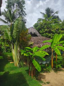 a resort with palm trees and a thatched roof at Tiny Cottage in Icaraí +1 photo