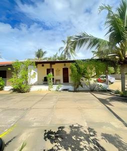a house with a palm tree in front of it at Villa of the Palm Trees in Icaraí