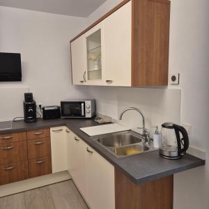a small kitchen with a sink and a microwave at Landwiese in Landkern
