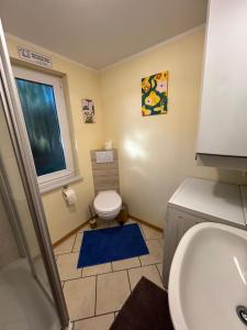a bathroom with a toilet and a sink and a window at Ferienhaus Loubier Marne in Marne +6 photos