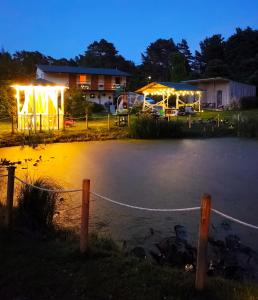 a field with a pond with lights on it at night at Imantass in Salacgrīva