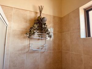 a bathroom with a shower with a chandelier at Ocean Light at Villa Hermosa in San Carlos +15 photos