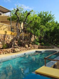 a swimming pool with a stone wall and trees at Dar Zaytoun Bhalil in Bhalil