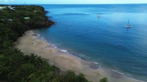 an aerial view of a beach with boats in the water at Bungalow Brise Marine - Plaisir d Évasion in Deshaies